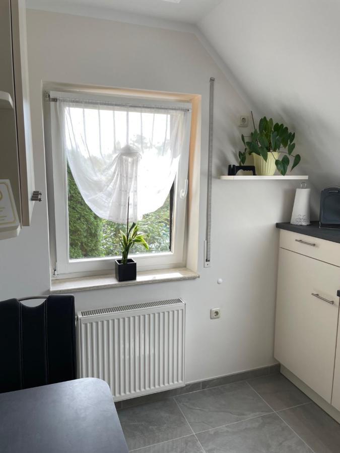 Ferienwohnung Geyer Grafenhainichen Exterior foto